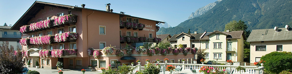 Hotel-Gasthof Goldener Löwe